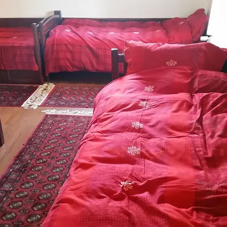 Planinski Biser Holiday home Kopaonik